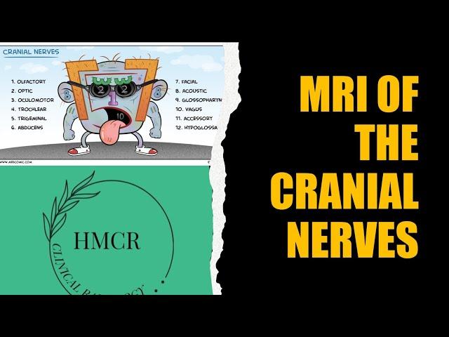 MRI ANATOMY OF CRANIAL NERVES @HMCRad #neuroradiology #radiology #neurology #usmle #mri