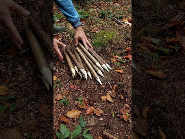 Survival bushcraft Skills #survival #camping #lifehacks #outdoors #bushcraft #shorts #skills #ideas