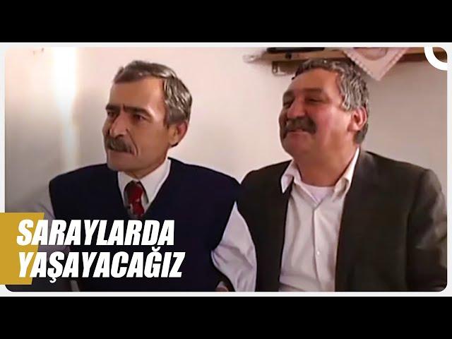 Halil Pazarlama Milyarder Olma Yolunda | Bizimkiler Özel Sahneler