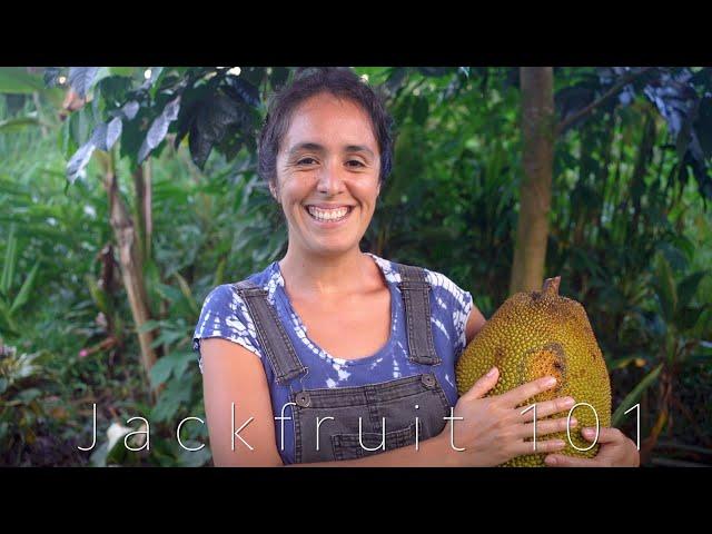 All Things Jackfruit: Grow, Harvest, Eat, Seeds