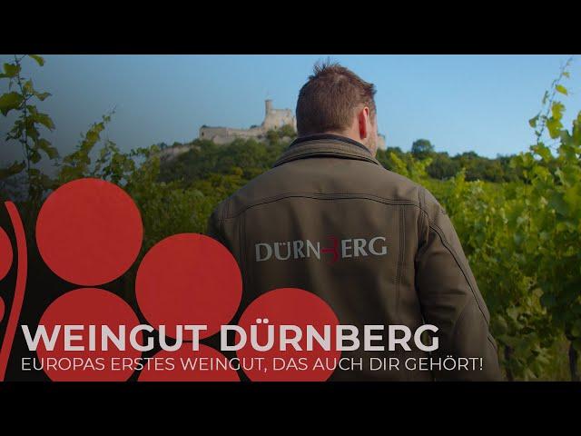 Weingut Dürnberg: Wir suchen Weinfreunde wie dich!