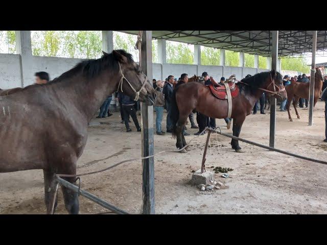 Samarqand viloyati Bulung'r tumani Oqtepam Mol qo‘y ot bozori