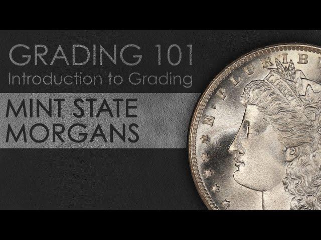 Grading Mint State Morgan Dollars: Introduction to Coin Grading