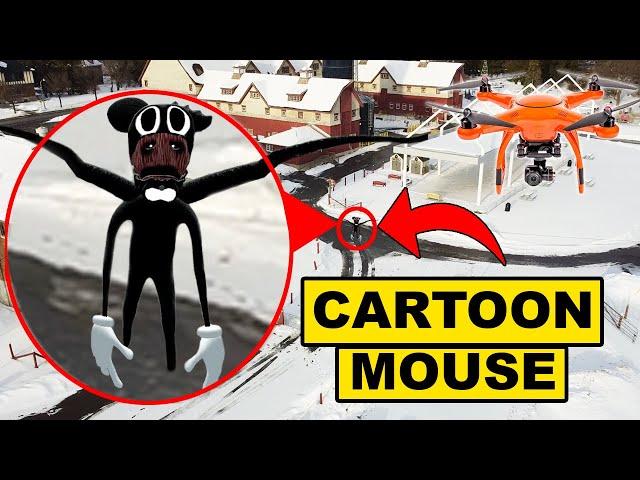 DRONE CATCHES CARTOON MOUSE & CARTOON CAT AT THE HAUNTED EXPERIMENTAL FARM! | CARTOON MOUSE SIGHTING