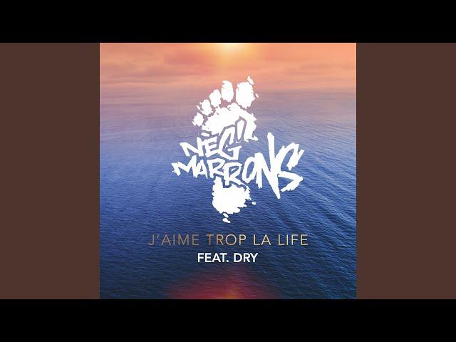 J'aime trop la life (feat. Dry)