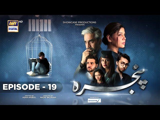 Pinjra Episode 19 - Presented by Sensodyne - 2nd February 2023 (English Subtitles) - ARY Digital