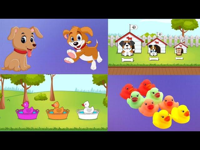 animasi bebek & anjing untuk anak-anak - belajar warna anak anak #anak #animasianak  #animationvideo