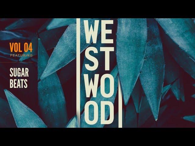 Glitch Hop Samples and Loops - Westwood Sounds Vol 4 - SugarBeats