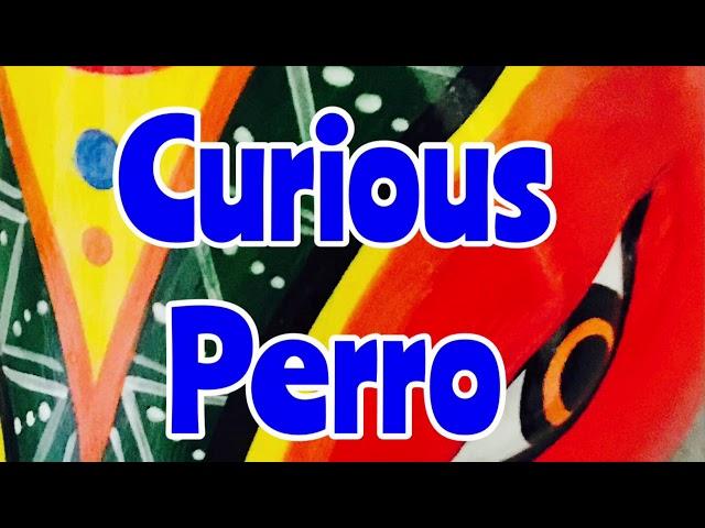 Curious Perro Introduction - A View Of Our World Through This Gringo’s Eyes - Travel Vlog