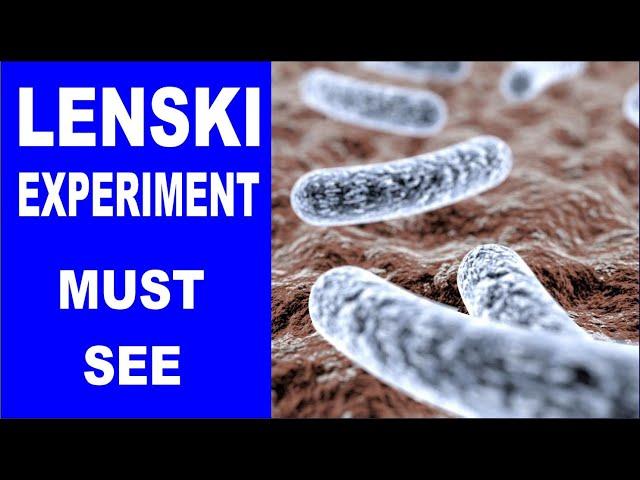 The Theory Of Evolution | Evolution and Lenski Experiments | 2018