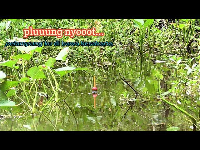 mancing ikan !! pantas saja ganas jarang sekali ada pemancing masuk spot di sini