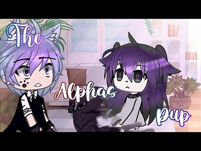 THE ALPHA'S PUP Episode 1  |  Glmm inspired