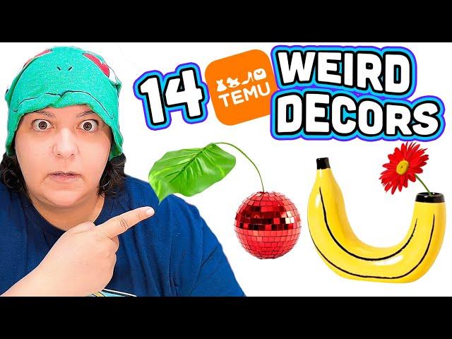 I Review MOST Bizarre Home Decorations Temu Haul