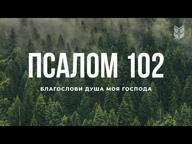 Библия. Псалом 102. Современный перевод Библии #BibleVision