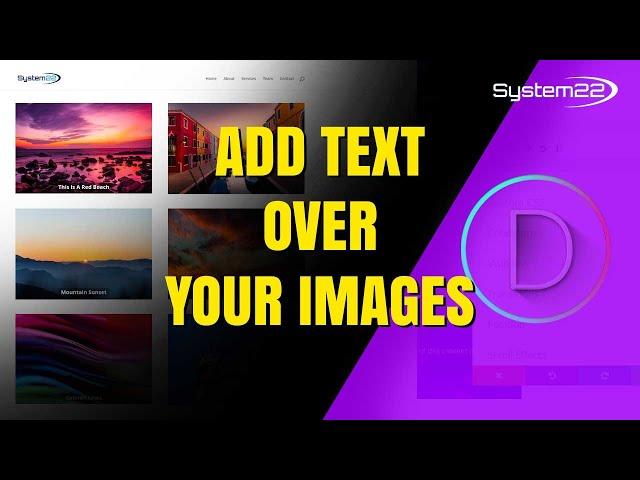 Divi Theme Text Over Image Using CSS