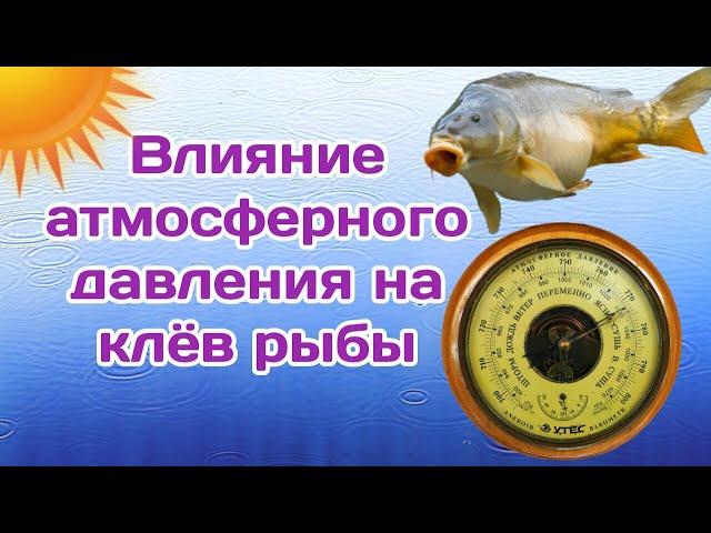 Влияние атмосферного давления на клев рыбы. Как влияет Атмосферное давление на успех рыбалки.
