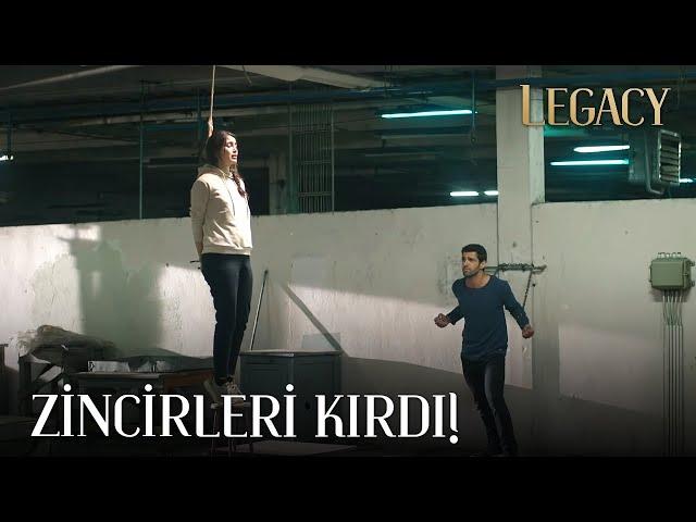 Ali broke the chains and saved Duygu! ️‍ | Legacy Episode 249