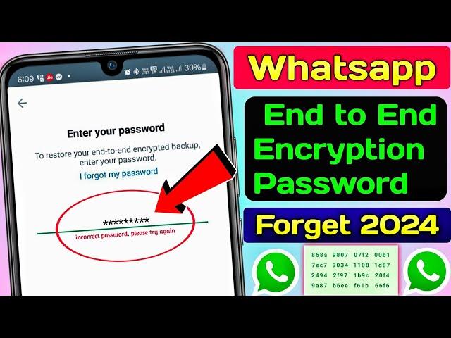 whatsapp end to end encryption password forgot | end to end encryption whatsapp password forgot