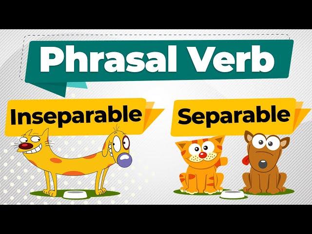 Everything about Phrasal Verbs | Separable | Inseparable  | Examples