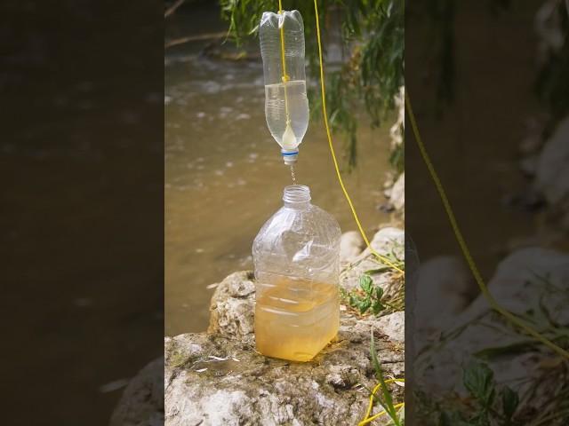 Survival skill: Amazing Lifehack with a bottle #survival #lifehacks #outdoor #diy