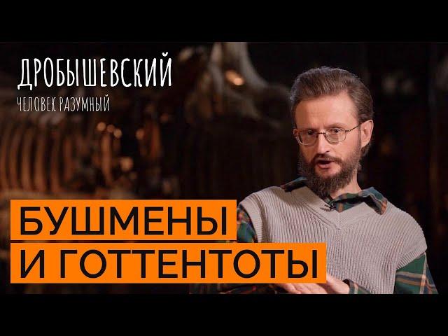 Самые древние народы земли. Как жили бушмены и готтентоты // Дробышевский. Человек разумный