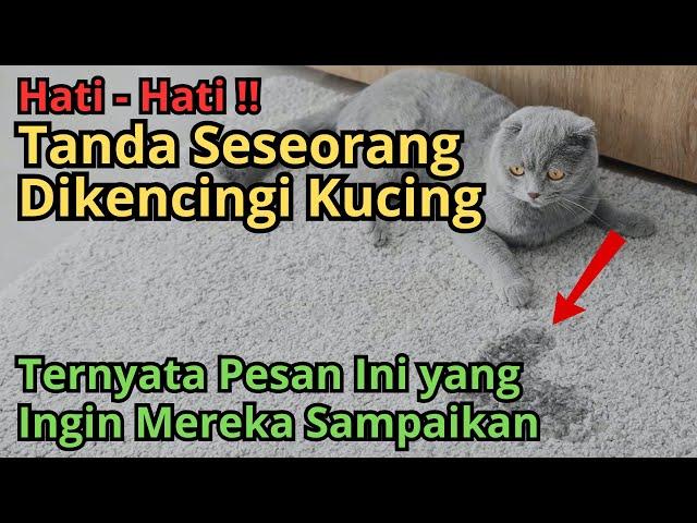 Jika Kamu Dikencingi Kucing, Artinya Ada Pesan Ini yang Ingin Mereka Sampaikan Kepadamu