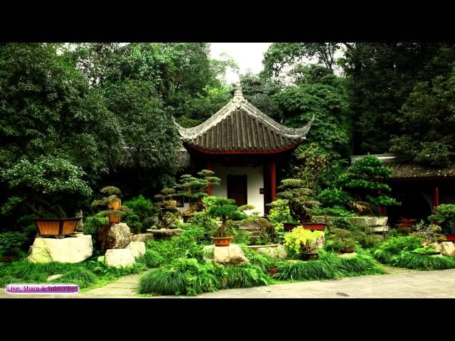 Japanese Music | Bonsai Tree Garden | Relaxing Japanese Harp Music