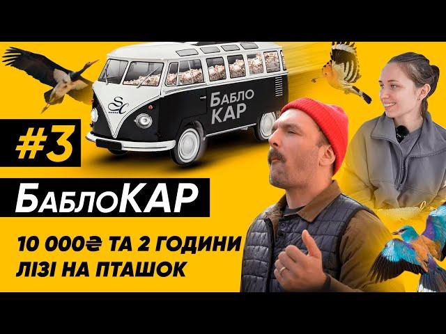 Іван-казкар на БаблоКар, або на що витратить 10 000 грн мисливиця на птахів?