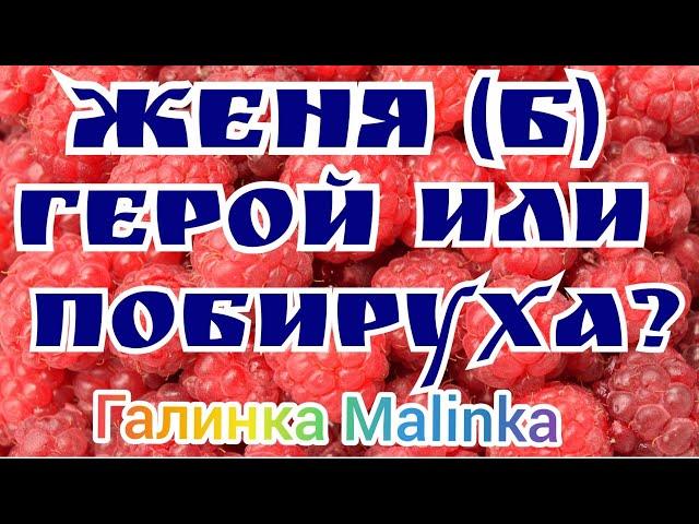 Деревенский дневник очень многодетной мамы /Женя Б/Кто такой Женя Б : Герой или Побируха? /