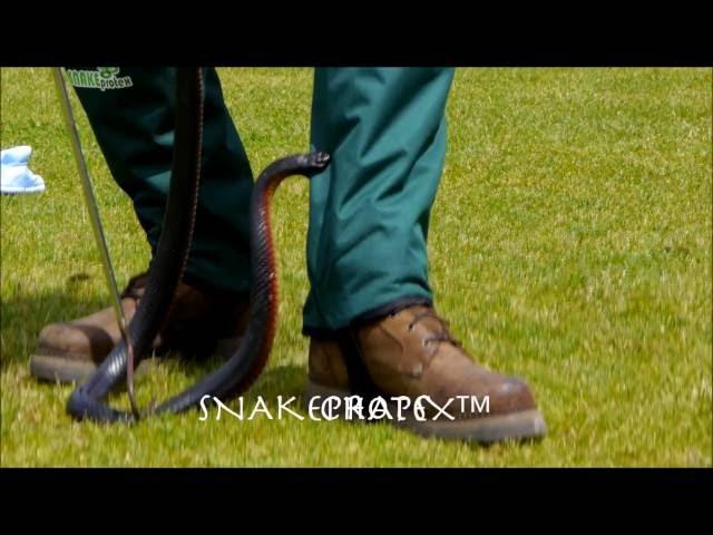 Snakeprotex Snake Bite Protection Chaps For Deadly Venomous Australian Snakes