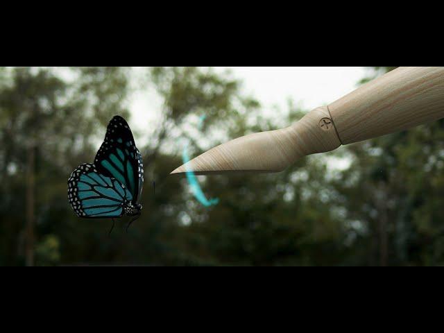 BUTTERFLY EFFECT  | VFX short film |