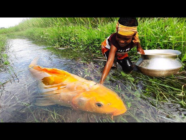 Amazing Boy Catching Fish By Hand | Traditional Little Catching Big Fish By Hand in Mud Water