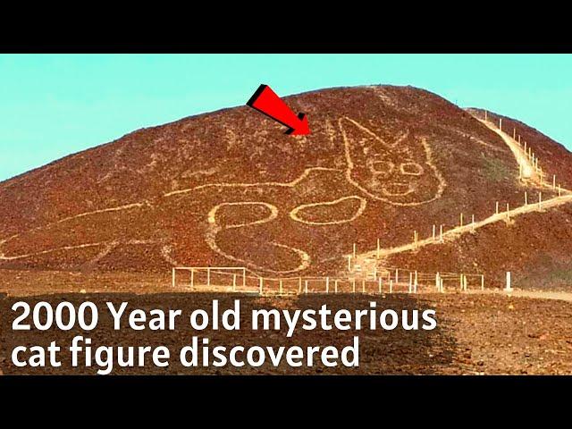 2,000 Year Old Mysterious Cat Figure Discovered in Nazca Desert, Peru | Wee Science