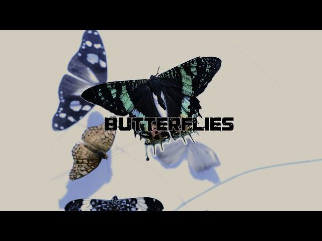 [FREE FOR PROFIT] Melodic Emotional Rap Beat “BUTTERFLIES” | Sad Piano/Guitar Instrumental