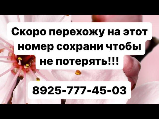 Малика Кавраева - Со ма ирсе ю.. Новинка‼️ 89257774503