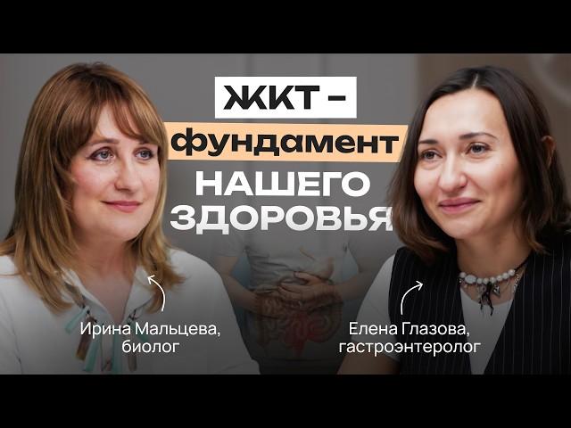 КАК РАБОТАЕТ ПИЩЕВАРЕНИЕ? ПРОФИЛАКТИКА и ДИАГНОСТИКА ЗАБОЛЕВАНИЙ ЖКТ