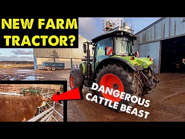 TRYING A NEW FARM TRACTOR | WILD BEAST CAUSING HAVOC #CRAWFORDFARMS #153