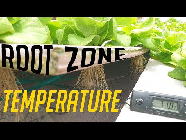 Root zone temperature | Are your plant roots comfortable?