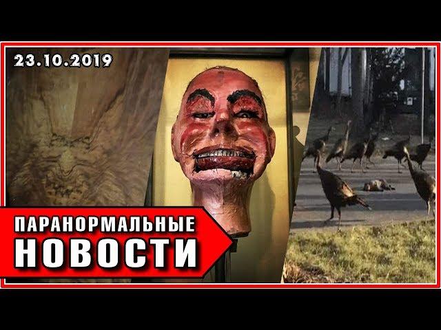 ПАРАНОРМАЛЬНЫЕ НОВОСТИ [23.10.2019] (ЛИЦО ДЕМОНА / ЖИВАЯ КУКЛА / ТАНЕЦ СМЕРТИ)