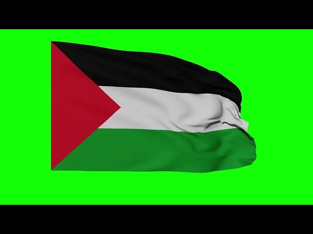 Palestine Flag on Green Screen