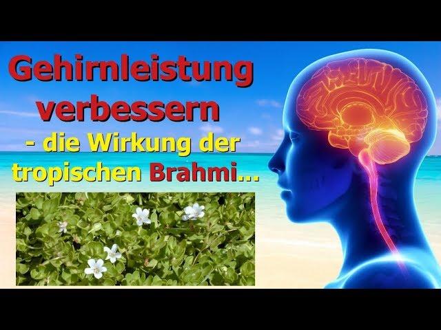 Gehirnleistung verbessern - die Wirkung der tropischen Brahmi