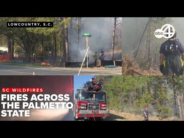 100s of brush and wildfires tear through South Carolina Saturday, many contained by Sunday morning