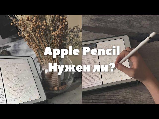 Apple Pencil. Мой отзыв после двух лет использования