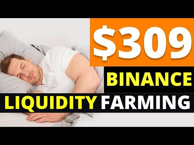 How to Make Money on BINANCE LIQUIDITY FARMING Easily?
