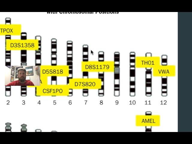 STR DNA Profiles