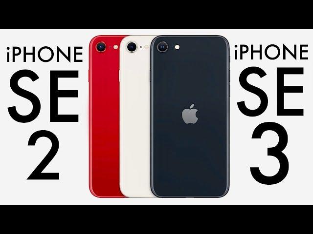 iPhone SE 3 Vs iPhone SE 2! (Quick Comparison)
