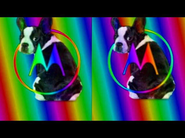 Hello Moto Funny Dog Logo Ident Effects