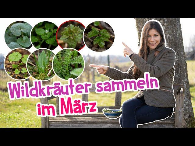 7 Wildkräuter, die du im März unbedingt sammeln solltest!  Jetzt sicher erkennen  #garten