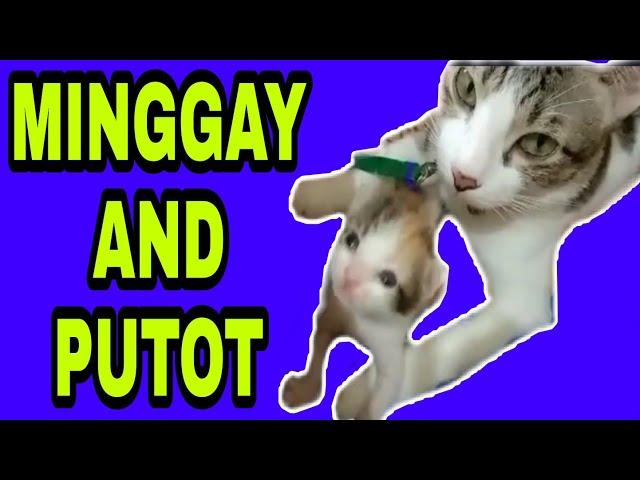 MINGGAY AND PUTOT/JHO B MIX VLOGS