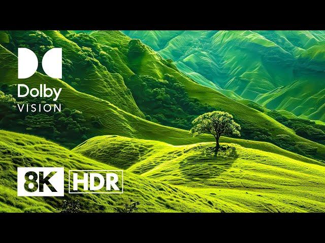 CRAZIEST PLACES YOU WILL EVER SEE | DOLBY VISION™ VIDEO (8K HDR)